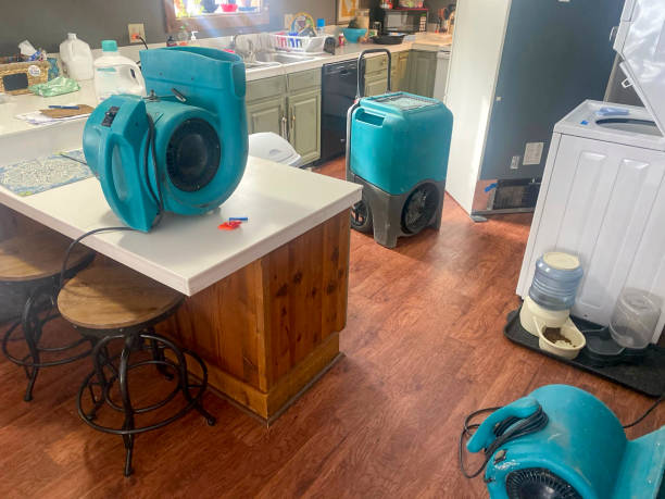 Best Water damage cleanup near me  in Camp Point, IL