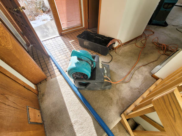 Best Water damage restoration near me  in Camp Point, IL