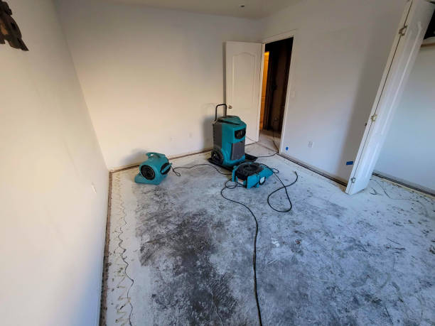 Best Sewage cleanup and water damage restoration  in Camp Point, IL