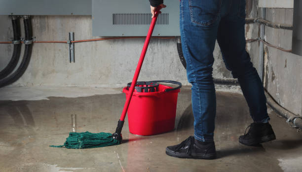 Best Basement water damage restoration  in Camp Point, IL