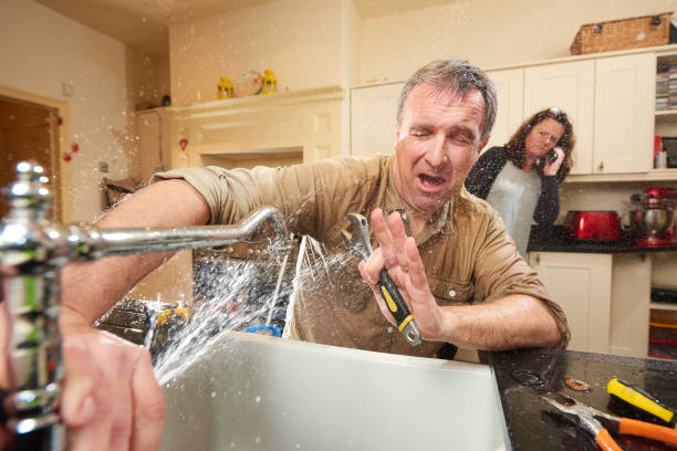 Best Ceiling water damage repair  in Camp Point, IL